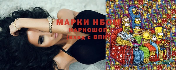 шишки Алексин