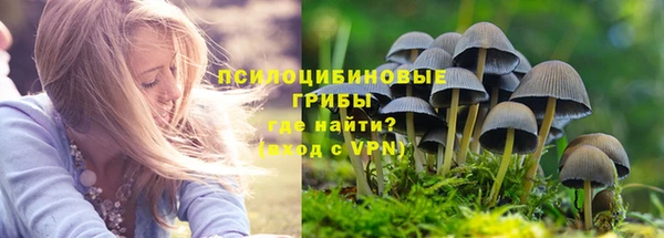 шишки Алексин