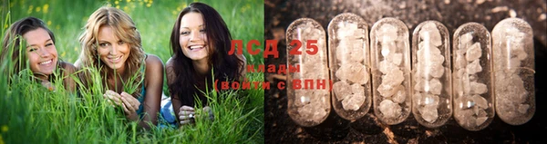 PSILOCYBIN Алексеевка