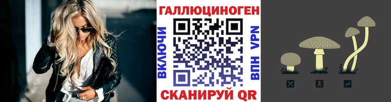 Псилоцибиновые грибы MAGIC MUSHROOMS  купить   Оса 